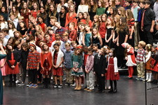 Enlarge photo 237