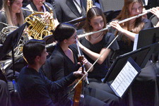 Enlarge photo 152
