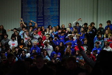 Enlarge photo 165