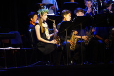 Enlarge photo 177