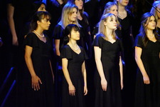 Enlarge photo 477