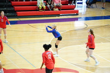 Enlarge photo 49