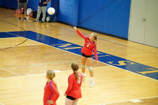Enlarge photo 239