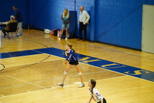 Enlarge photo 113