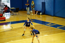 Enlarge photo 135