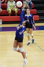 Enlarge photo 145