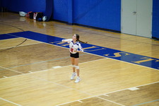 Enlarge photo 228