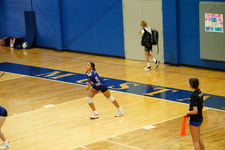 Enlarge photo 396
