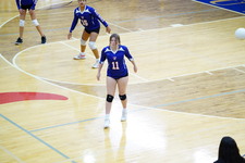 Enlarge photo 435