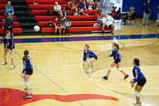 Enlarge photo 453