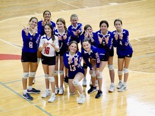 MS Blue VB