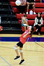 Enlarge photo 295