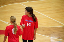 Enlarge photo 351