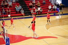 Enlarge photo 455