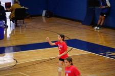 Enlarge photo 462