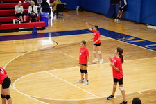 Enlarge photo 473