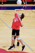 Enlarge photo 493