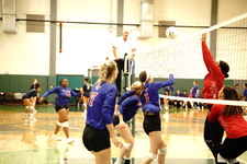 Enlarge photo 102