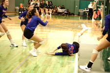 Enlarge photo 382