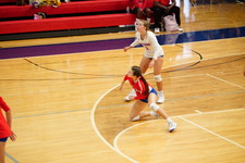 Enlarge photo 45