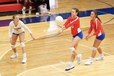 Enlarge photo 92