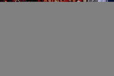 Enlarge photo 232