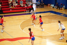 Enlarge photo 308