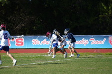 Enlarge photo 45