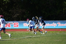 Enlarge photo 46