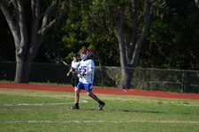 Enlarge photo 87