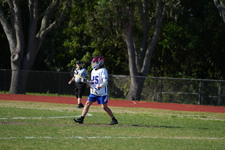 Enlarge photo 91