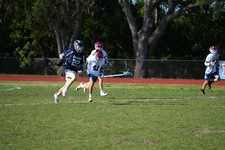 Enlarge photo 131