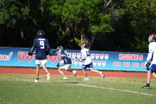 Enlarge photo 157