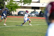 Enlarge photo 179