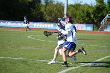 Enlarge photo 198