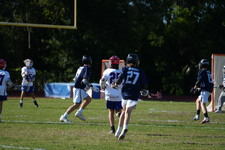 Enlarge photo 217