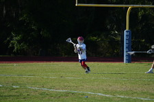 Enlarge photo 240