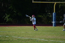 Enlarge photo 241