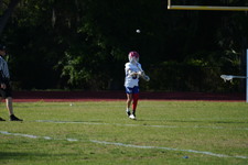 Enlarge photo 243