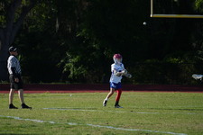 Enlarge photo 244