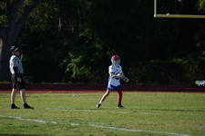 Enlarge photo 245