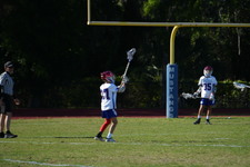 Enlarge photo 251