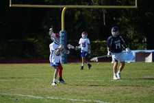 Enlarge photo 259