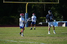 Enlarge photo 262