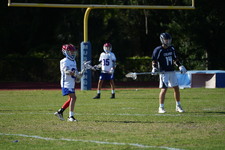 Enlarge photo 264