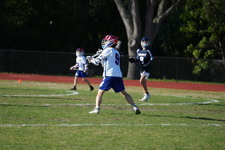 Enlarge photo 299