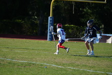 Enlarge photo 305