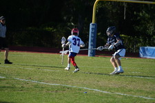 Enlarge photo 308