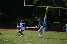 Enlarge photo 313