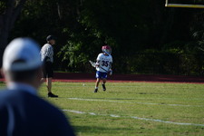 Enlarge photo 324